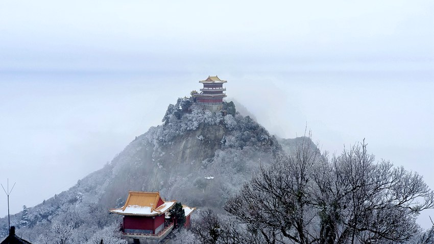 春雪落秦嶺，銀裝素裹美如畫。張玉龍 攝