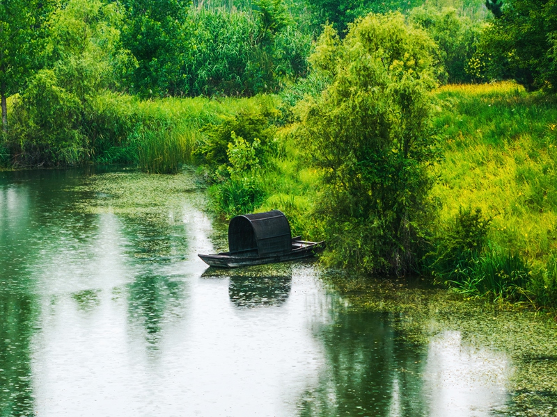 灃河生態(tài)濕地公園。西咸新區(qū)融媒體中心供圖