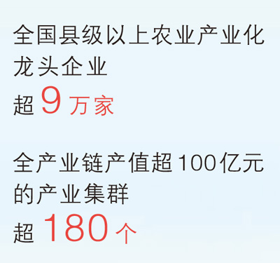 鄉村產業  　　產業振興是鄉村全面振興的重中之重。我國積極培育壯大數字農業、訂單農業、休閑農業等新業態，釋放現代農業發展潛能。各地依托資源優勢、對接市場需求，推動鄉村產業全鏈條升級。特色農業產業持續提高現代化水平，全國森林食物年產量超2億噸，約70%的肉蛋奶和52%的養殖水產品由設施養殖提供。